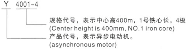 西安泰富西瑪Y系列(H400-500)380V低壓大功率三相異步電動機(jī)型號說明