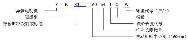 西安泰富西瑪YBE3系列超高效防爆電機(jī)型號(hào)說(shuō)明